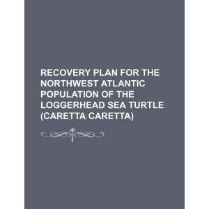   Loggerhead sea turtle (caretta caretta) (9781234536671) U.S