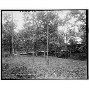  Picnic grounds at Lemont,Ills.: Home & Kitchen
