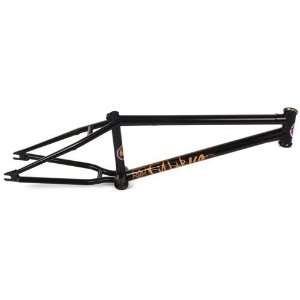  FIT Dak BMX Bike Frame   20.75   Matte Black: Sports 