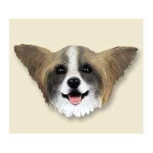  Papillon Brown & White Doogie Head: Everything Else