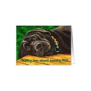  Funny Birthday ~ 76 Years Old ~ Labrador Dog Card: Toys 