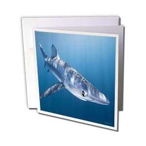   Pacific Ocean   Greeting Cards 12 Greeting Cards with envelopes