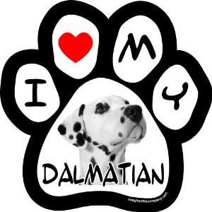   Inch by 5 1/2 Inch Car Magnet Picture Paw, Dalmatian: Pet Supplies