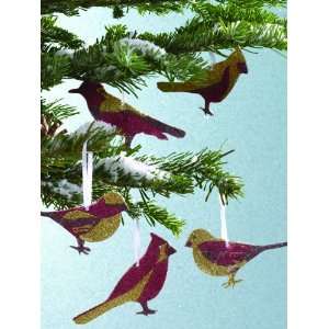   Martha Stewart Crafts Glittered Bird Ornament Kit: Arts, Crafts