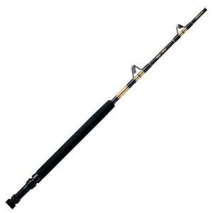   Shakespeare Ugly Stik 66 Saltwater Bigwater Rod: Sports & Outdoors