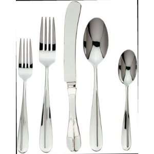    Stainless Steel Patriot 5 Piece Place Setting: Kitchen & Dining