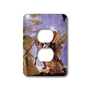   Pegasus   Light Switch Covers   2 plug outlet cover