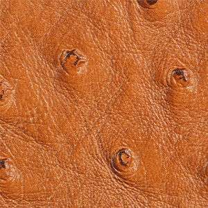 Ostrich Upholstery Faux Leather by the yard   Carmel  