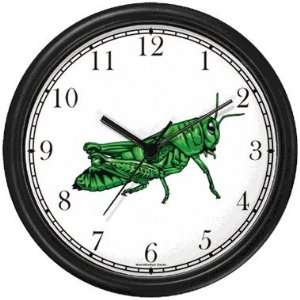  Green Grasshopper or Grass Hopper Insect   Animal Wall 