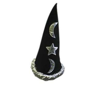   SILVER POINTED WITCH WIZARD COSTUME ACCESSORY HAT: Everything Else