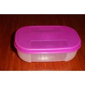   Freezer Mate with Purplicious Seal 1 Cup Capacity 