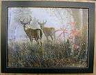 deer framed art  