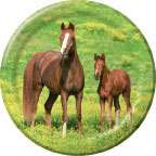 Horse / Horses Party DINNER / LUNCH PAPER PLATES   NEW!  