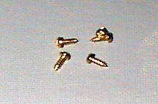 200 #2x1/4 Inch Brass Plate Phillips Round Head Screws  