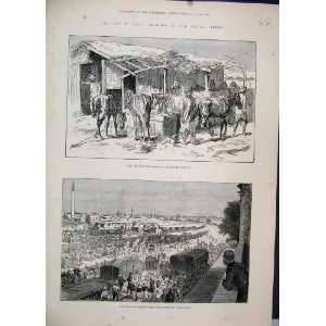   1882 War Egypt Wounded Horses Bengal Cavalry Zagazig: Home & Kitchen