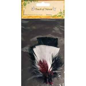  Natural Feather Picks 3/Pkg 3 Red/White/Black