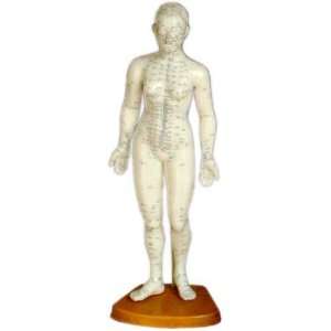  Acupuncture Human Body Model   Female 48cm Office 