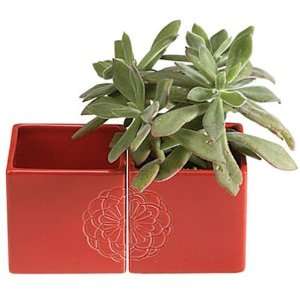  DonnieAnn Company AH18803 Floral Debossed Flower Pot, Red 