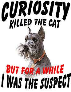 MINIATURE & GIANT SCHNAUZER DOG CURIOSITY KILLED CAT T SHIRT = S M L 