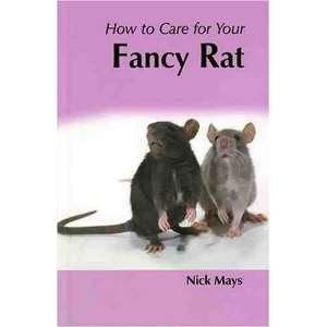 How to Care for Your Fancy Rat (Your First Pet 