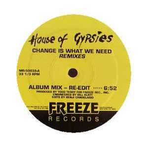  Change Is What We Need [Vinyl] House of Gypsies Music