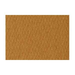  Canson Mi Teintes Pastel Paper   10 Pack 19x25   Amber 