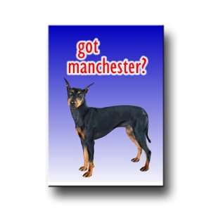  Manchester Terrier Got? Fridge Magnet 