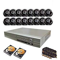   Web ready Security System with 16 CCD Dome Cameras and 1TB Hard Drive