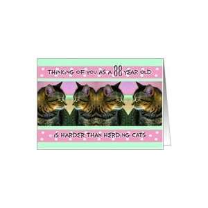  Birthday, 88, Funny, Her, Herding Cats Card: Toys & Games