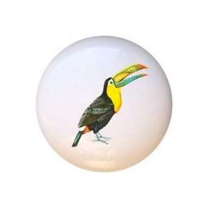  Birds Sulfur crested Toucan Drawer Pull Knob: Home 