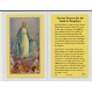   Mary for Souls in Purgatory Holy Card Laminated: Everything Else