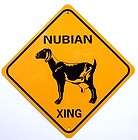 nubian goats  