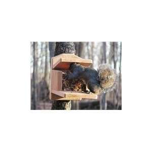  Birds Choice Squirrel Feeder Munch Box: Home & Kitchen