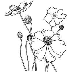 Penny Black Poppies Rubber Stamp  