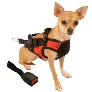   Harness with Adapter Combination, Red & Black, Small: Pet Supplies