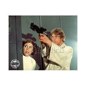    Luke Skywalker and Princess Leia Episode IV Print Toys & Games