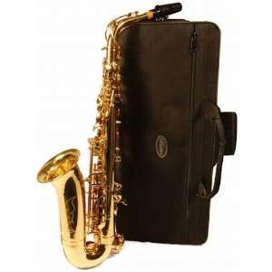  Barcelona E Flat Alto Saxophone with Case, Reeds, Cleaning 