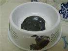 pet dog cat feeding bowl dish 7 dog 03 returns