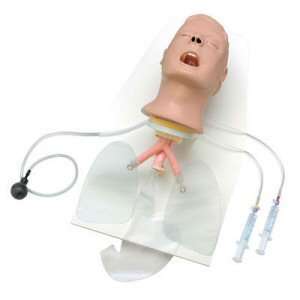  Advanced Airway Larry AMT Head on Stand Health & Personal 