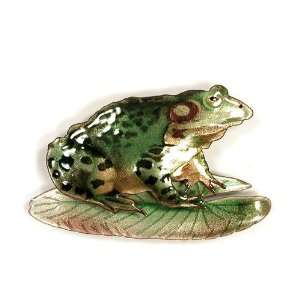    Bovano Enamel Copper Wall Art Frog On Lily Pad: Everything Else