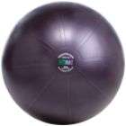   Stability Ball & Core Performance Training DVD (65 cm; Dark Purple