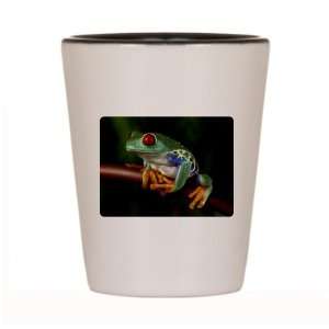  Shot Glass White and Black of Red Eyed Tree Frog 