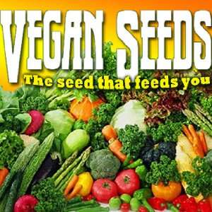  Survival Seed Kit, High Protein, 100% Heirloom Non GMO Non 