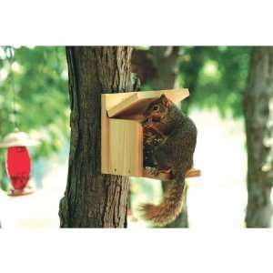  Squirrel Munch Box   Capacity 1.75 lbs 