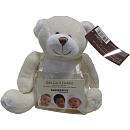 Koala Baby Gift Card Bear   Cream