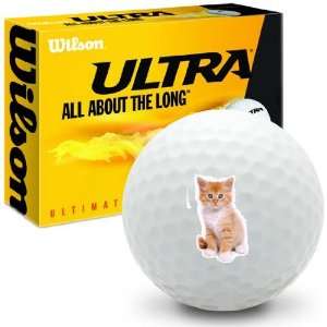  Kittens Orange Tabby   Wilson Ultra Ultimate Distance Golf 