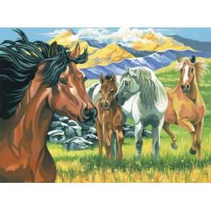   : Reeves Paint By Number Kit 12x16 wild Horses 2 Pack: Toys & Games