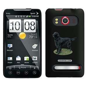  Flat Coated Retriever on HTC Evo 4G Case: MP3 Players 