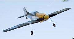 P51D WWII Mustang Brushless 4CH RC Plane  