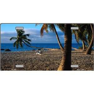    America sports Secluded Beach LICENSE PLATE: Sports & Outdoors